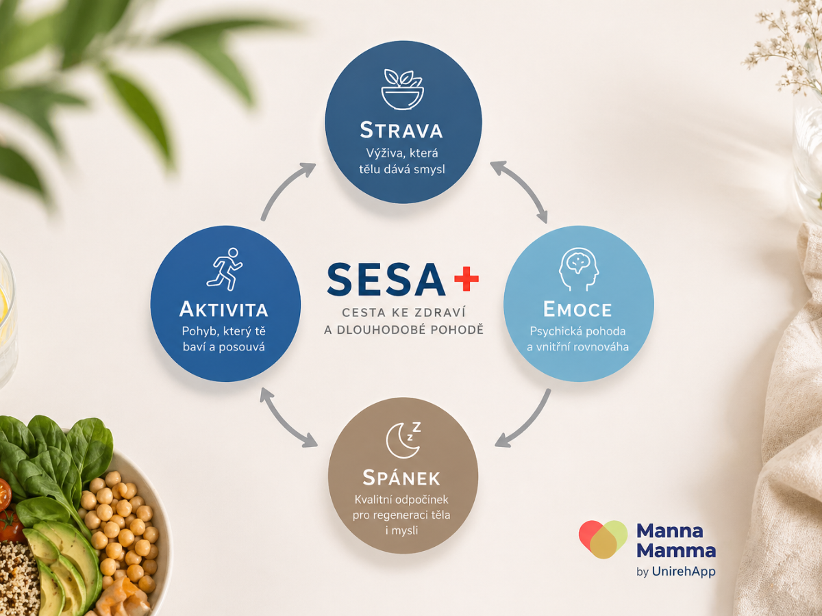 Detailní analýza stavu klienta v programu Manna Mamma